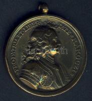1938. "Felvidék felszabadítása - II. Rákóczi Ferenc" Br emlékérem T:2 kis ph.