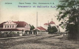 Jagodina brewery and malt processing manufacture