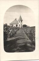 Magyar villa szőlőskerttel photo