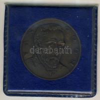 DN "Van Gogh-csónakok" nagyalakú Br emlékérem tanúsítvánnyal szign.:Kiss Kovács Gyula T:1 Eredeti tokban!