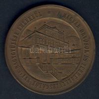 1872. "Mehádia-Magyar Orvosok és Természetvizsgálók..." Br plakett. Szign:Seidán T:2 folto...