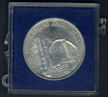 1983. Forte Fotokémiai Ipari Vállalat-Törzsgárda Emlékplakett Ag szign.:BGY T:1