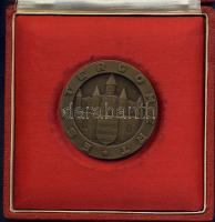 DN. Esztergomért feliratú Br emlékplakett, eredeti tokban T:1-
