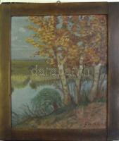 Farkas jelzéssel: Tájkép, olaj-furnér, keretben 48x50 cm