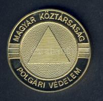 1995. A "Magyar Köztársaság Légoltalmi Ligájának 60. évfordulója" aranyozott emlékérem ere...