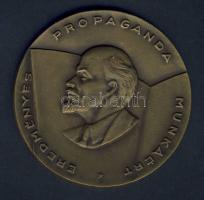 DN. Eredményes propaganda munkáért járó Br emlékplakett, eredeti adományozói dísztokban, szignózott T:1