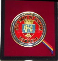 Románia DN. Nagyváradi Polgármesteri Hivatal emlékplakett eredeti dísztokban T:1