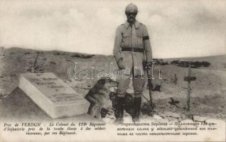 3 db megíratlan I. világháborús Francia katonai képeslap jó minőségben