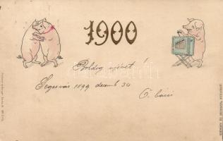 1899 New Year 1900 pigs