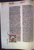 A Nekcsei-Biblia legszebb lapjai. A bevezetőt Dana J. Pratt, a képmagyarázatokat Levárdy Ferenc írta...