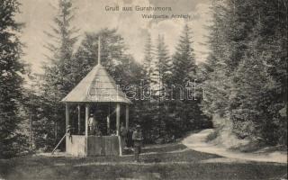 Gura Humorului (Gurahumora) forest pavilion