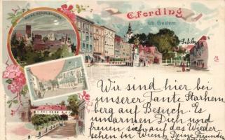 Eferding with the Schaunberg castle ruins litho