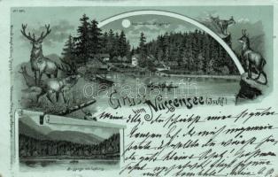 1899 Nussensee litho (EB)