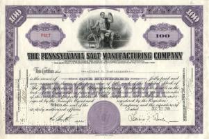 USA 1944. Pennsylvaniai sógyár részvény "9.16.54 CANCELED" perforációval T:I-