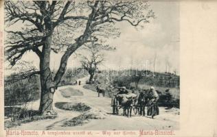 Budapest II. Máriaremete, Divald