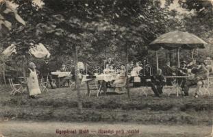 Gyopáros-fürdő községi park (Rb)