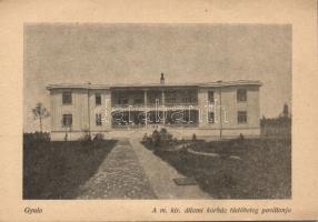 Gyula kórház tüdőbeteg pavilonja