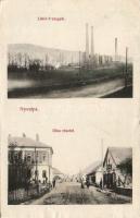 Nyustya with the Likér iron works (wet damage)