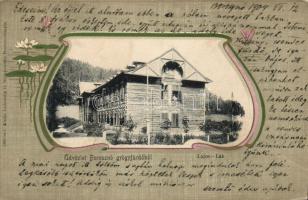 Borosznó-Gyógyfürdő Villa Lajos litho