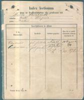 1871 Bécsben és Pesten tanuló joghallgató leckekönyve híres jogtudósok: Rudolf Jhering, Wenzel Gusztáv, Apathy, Sághy, Hajnik, Lechner és mások (borító hiányzik)