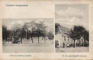 Felsőszeli with the Eszterházy castle and Finance Guard Office