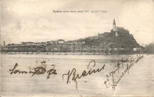 Nyitra flood 1907 (Small tear)