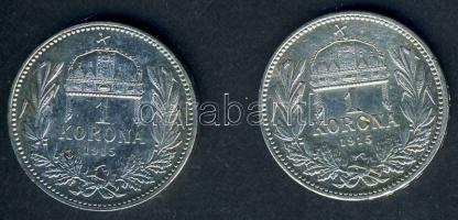 1915. 1K Ag (2x) T:2