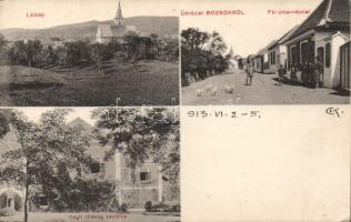 Bozsok Végh Uraság kastélyával