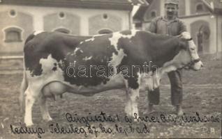 Kaposvár gazdaság photo (pinhole)