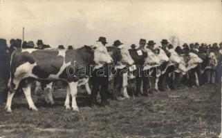 Bonyhád gazdaság photo (pinhole)