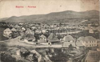 Rogatica (wet damage)