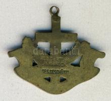 DN. Ferences rendi emlékmedál, hátoldalán jelzéssel (JNNSBRUCK) T:2