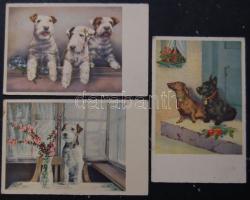 3 db megíratlan, régi Kutyás képeslap / 3 Dog cards