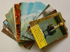 134 db vegyes, postatiszta motívumlap: sport, madár, hal, virág, lepke, stb. (30 klf)