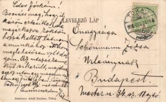 Tokaj Erzsébet híd