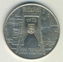 1973. "Pest-Buda-Óbuda" Ag emlékérem (25.1g) T:BU