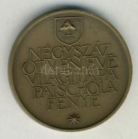 1981. "MÉE-Pápai Schola" Br emlékérem T:1