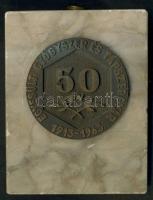 1963. Egyesült Gyógyszer és Tápszergyár 50 éves évfordulójának plakettje, márványfoglalatban T:2