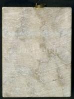 1963. Egyesült Gyógyszer és Tápszergyár 50 éves évfordulójának plakettje, márványfoglalatban T:2