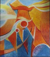 Solymos Tamás Géza Fiesta olaj-vászon, jelzett, 50x60 cm