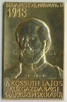 1918. Kossuth Lajos Közgazdasági Szakközépiskola aranyozott Br plakett T:1-