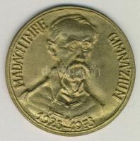 1973. Salgótarjáni Madách Imre Gimnázium emlékplakett T:1-