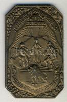 1941. M.Kir.Honvéd Ludovika Akadémia Al plakett T:2