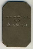 1941. M.Kir.Honvéd Ludovika Akadémia Al plakett T:2