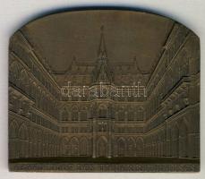 Ausztria 1925. Bécsi Városháza Br emlékplakett T:2+