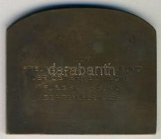 Ausztria 1925. Bécsi Városháza Br emlékplakett T:2+