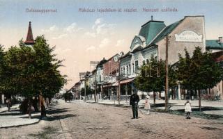 Balassagyarmat Rákóczi fejedelem út a Nemzeti Szállodával