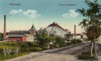 Békéscsaba Selyemfonoda