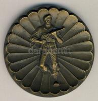 Spanyol ejtőernyős Br plakett T:1