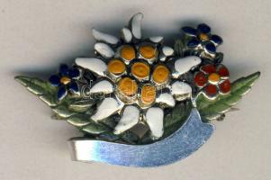 Osztrák turista jelvény T:1